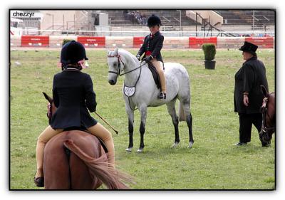 judging of a pony class