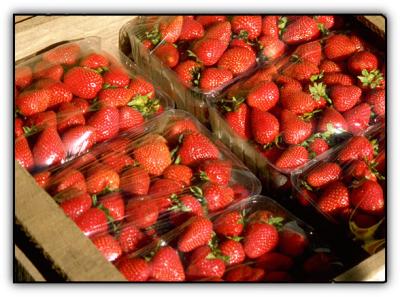 g4/24/475724/3/61075603.strawberriesincrate.jpg