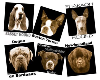 various dog breeds - sepia on black