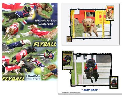 flyball images (montages)
