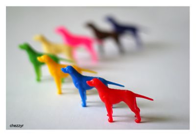 Brave Breeds - cereal toy dogs by Sanitarium 1970s