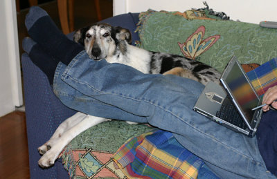 Tinsel queen of the couch