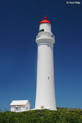 3643-cape-nelson-lighthouse