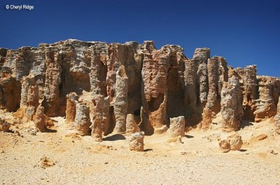3760-petrified-forest