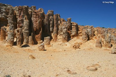3765-petrified-forest