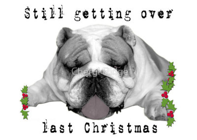 still getting over last christmas - british bulldog