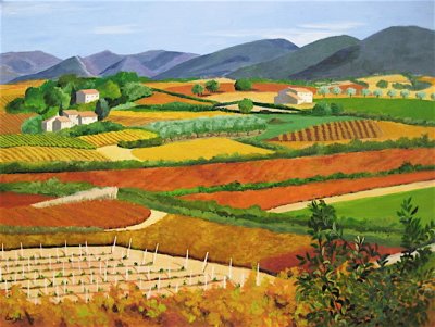 Vineyards in Provence.JPG