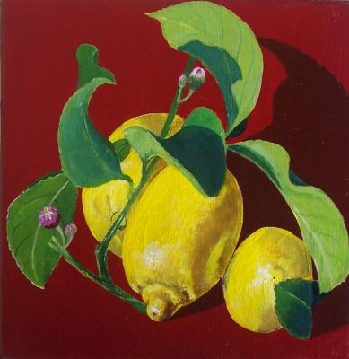 Lemons_3199.JPG
