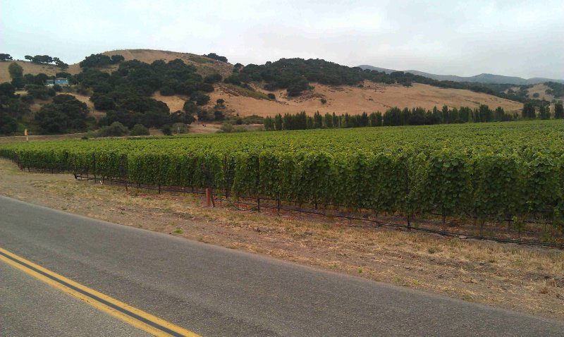 solvang (35).jpg
