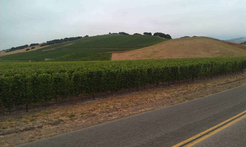 solvang (36).jpg