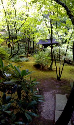 japanese garden