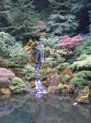 japanese garden
