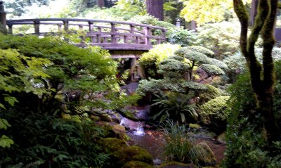 japanese garden