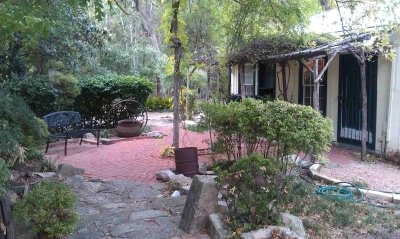 Gruene