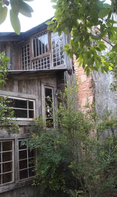 Gruene