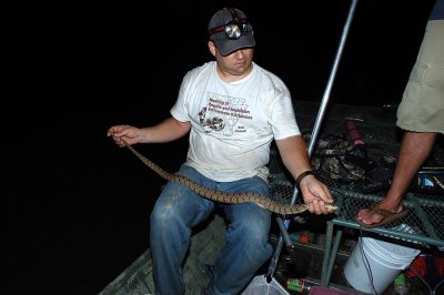 Mulebrother with a Diamondback watersnake (Nerodia rhombifer)