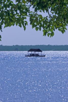 Blue and Green scenery