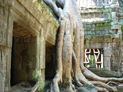 Ta Prohm