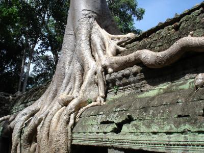 Ta Prohm