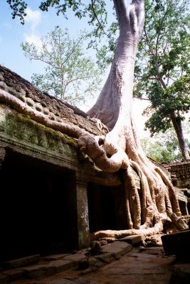 Ta Prohm
