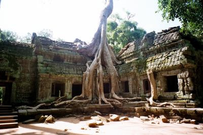 Ta Prohm