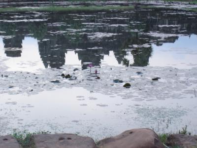 Angkor Wat