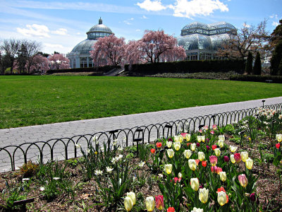 NY Botanical Gardens