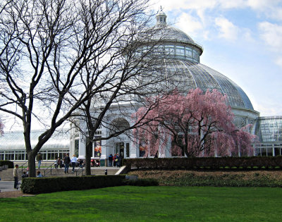 NY Botanical Garden