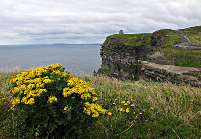 The Cliffs of Moher