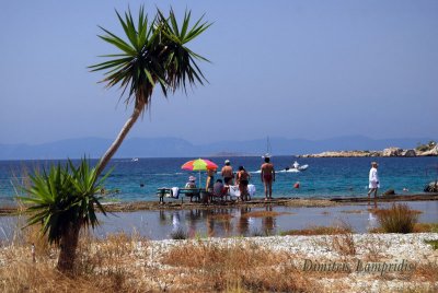 SALAMINA   ISLAND  ...