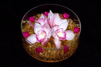 ORCHIDS    CYMBIDIUM  ...