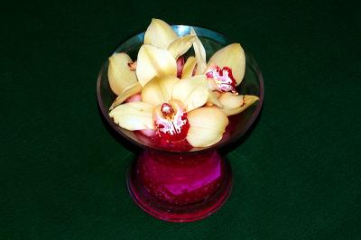 ORCHIDS    CYMBIDIUM  ...