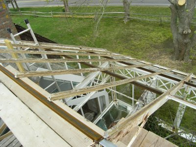 4-26-11_conservitory_