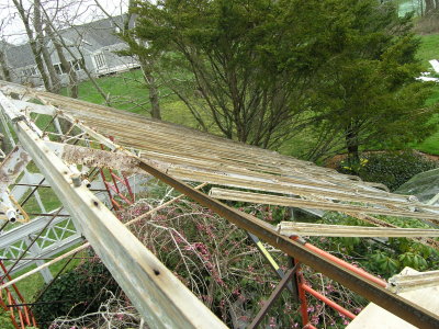 4-26-11 Greenhouse 002.jpg