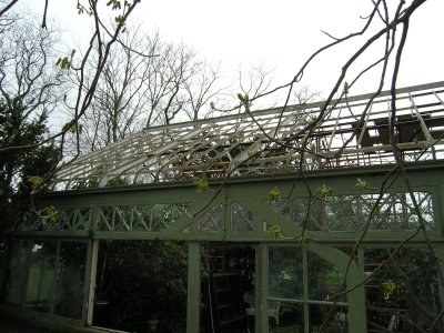 4-26-11 Greenhouse 010.jpg