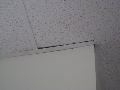 g4/24/631424/3/137140671.ZokjFDFP.jpg