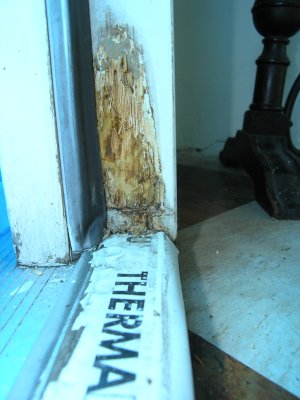 The problem...rotted door frame