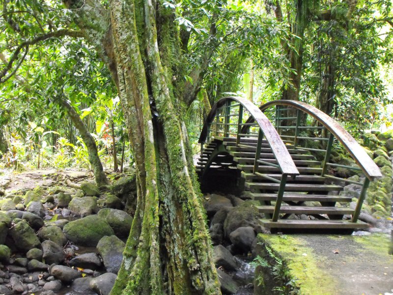 Foot bridge