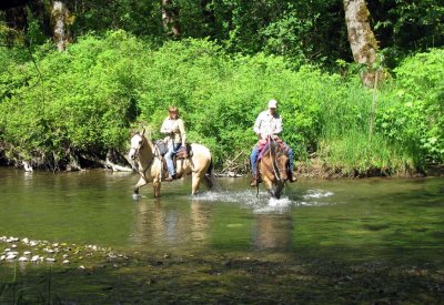 Trail Challenge - 7.jpg