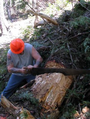 Crosscut sawing - 4.jpg