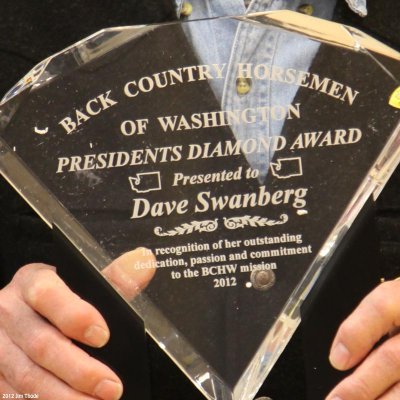 Diamond Award  Dave Swanberg