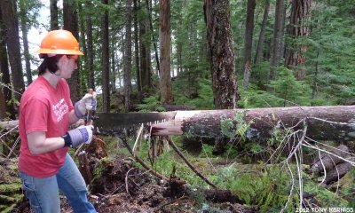 Danielle sawing a cedar