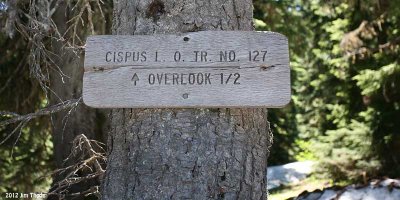 Trail to Cispus Peak