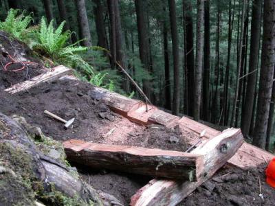 June 3, 2006              Log crib retaining wall