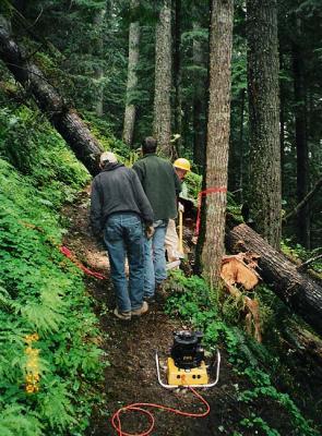 May 24, 2006   Clearing a windfall