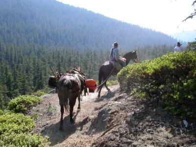 Trail crew at the Vanson Ridge trail overlook