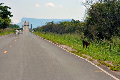 Campo Grande a Corumb, MS