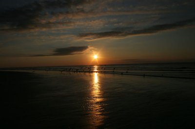 SB29.jpg