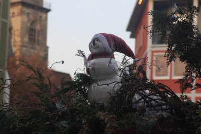 IMG_5788.jpg