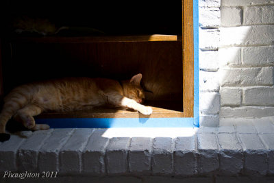 08/29/2011 - Nook and a sunbeam